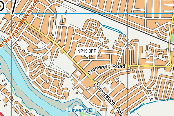 NP19 0FP map - OS VectorMap District (Ordnance Survey)