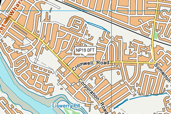 NP19 0FT map - OS VectorMap District (Ordnance Survey)