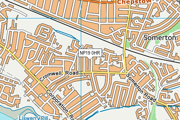 St Patrick's R.C. Primary School map (NP19 0HR) - OS VectorMap District (Ordnance Survey)