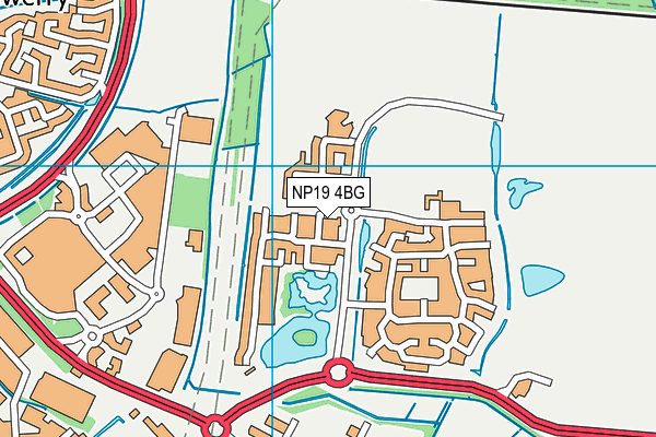 NP19 4BG map - OS VectorMap District (Ordnance Survey)