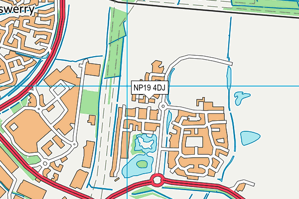 NP19 4DJ map - OS VectorMap District (Ordnance Survey)