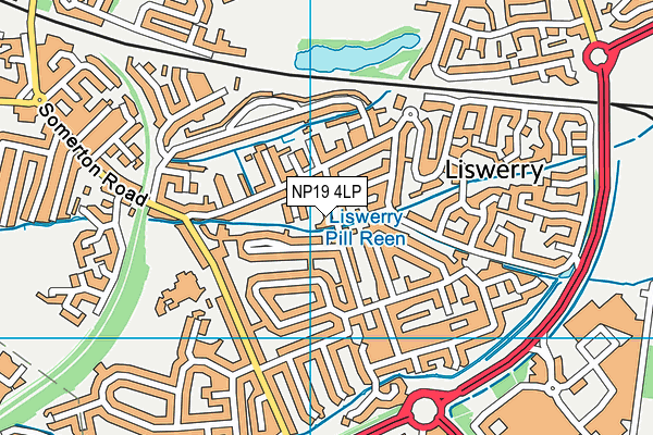 NP19 4LP map - OS VectorMap District (Ordnance Survey)