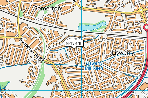 NP19 4NF map - OS VectorMap District (Ordnance Survey)