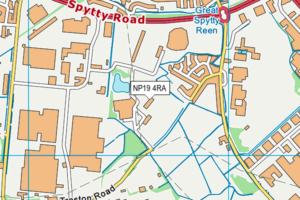 NP19 4RA map - OS VectorMap District (Ordnance Survey)