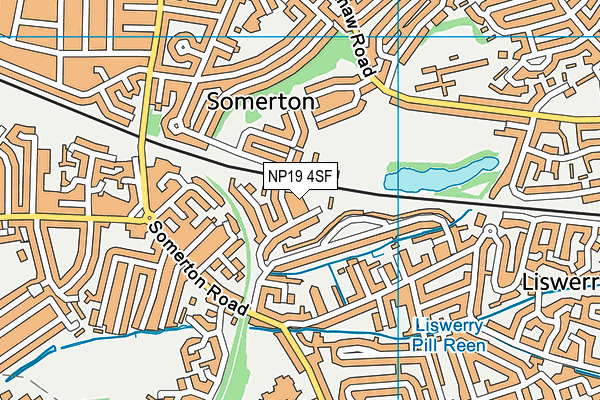 NP19 4SF map - OS VectorMap District (Ordnance Survey)