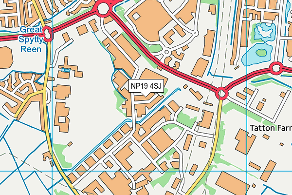 NP19 4SJ map - OS VectorMap District (Ordnance Survey)