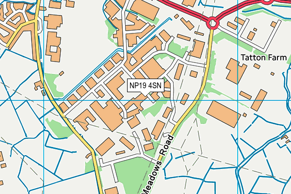 NP19 4SN map - OS VectorMap District (Ordnance Survey)