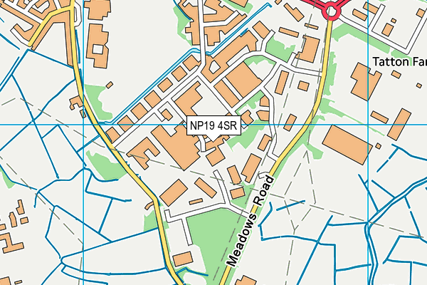 NP19 4SR map - OS VectorMap District (Ordnance Survey)