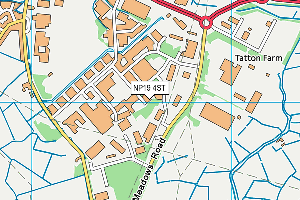 NP19 4ST map - OS VectorMap District (Ordnance Survey)