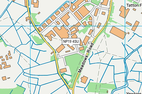 NP19 4SU map - OS VectorMap District (Ordnance Survey)