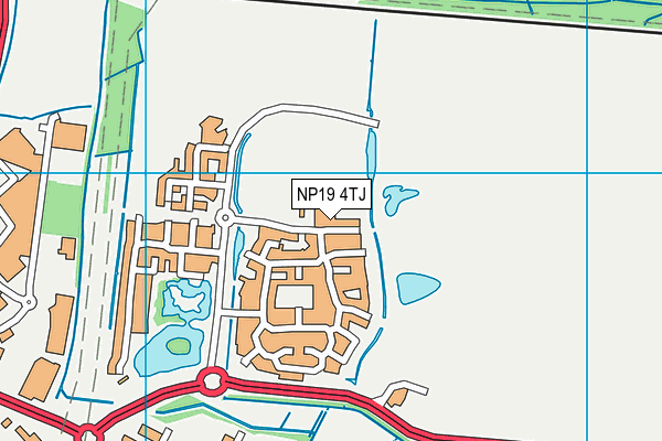 NP19 4TJ map - OS VectorMap District (Ordnance Survey)