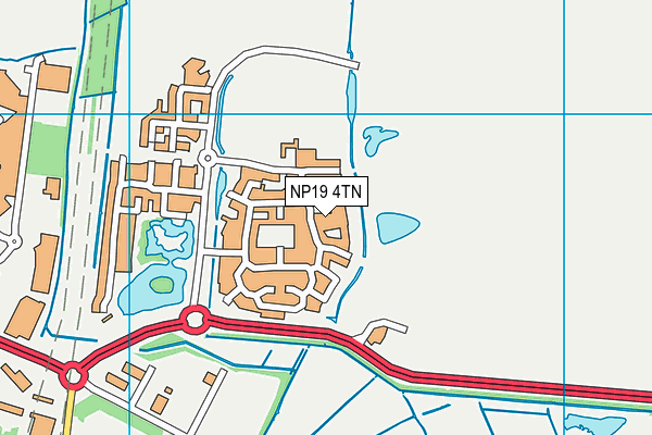 NP19 4TN map - OS VectorMap District (Ordnance Survey)