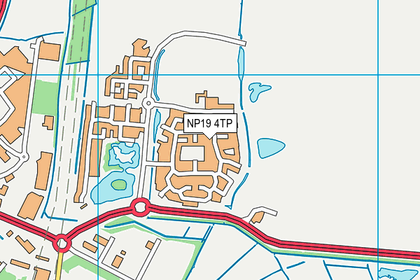 NP19 4TP map - OS VectorMap District (Ordnance Survey)
