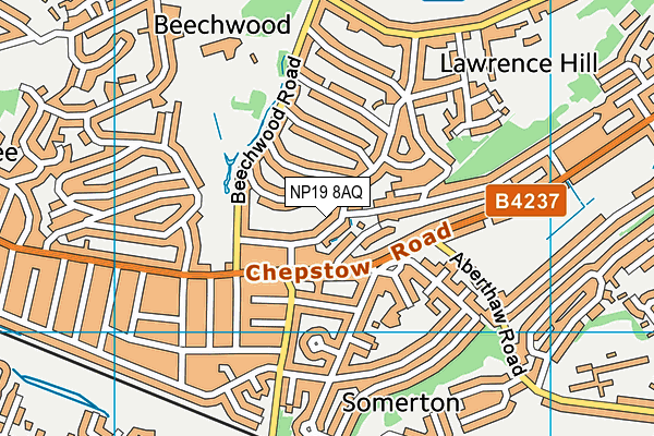 NP19 8AQ map - OS VectorMap District (Ordnance Survey)
