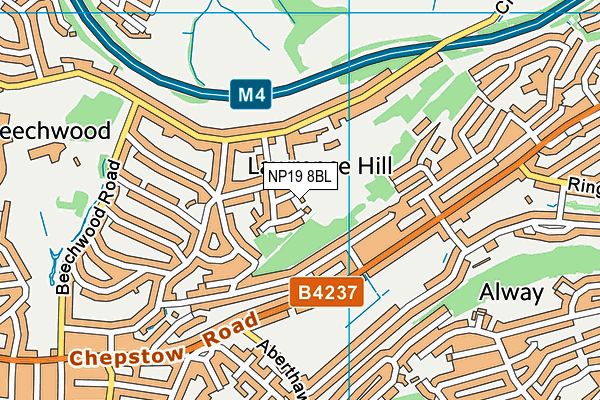 NP19 8BL map - OS VectorMap District (Ordnance Survey)