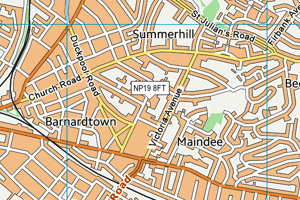 NP19 8FT map - OS VectorMap District (Ordnance Survey)