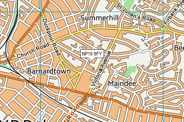 NP19 8FY map - OS VectorMap District (Ordnance Survey)