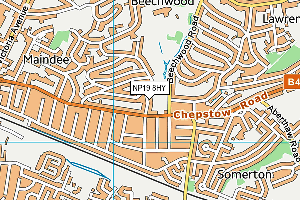 NP19 8HY map - OS VectorMap District (Ordnance Survey)