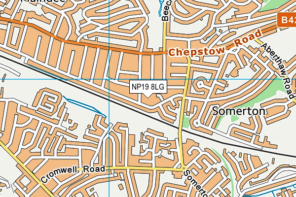NP19 8LG map - OS VectorMap District (Ordnance Survey)