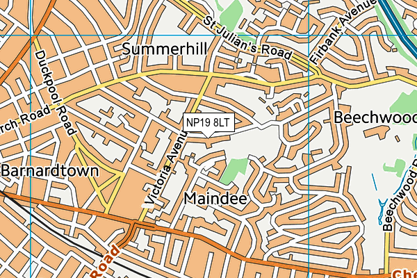 NP19 8LT map - OS VectorMap District (Ordnance Survey)