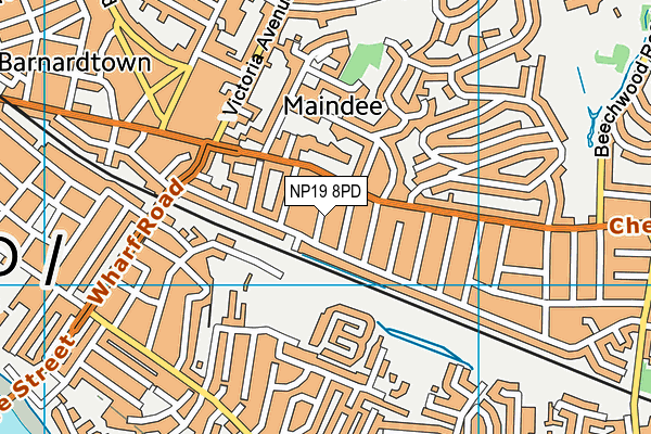 NP19 8PD map - OS VectorMap District (Ordnance Survey)