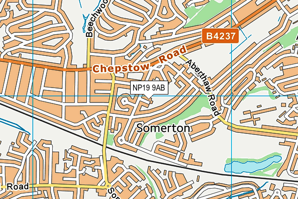 Somerton Primary School map (NP19 9AB) - OS VectorMap District (Ordnance Survey)
