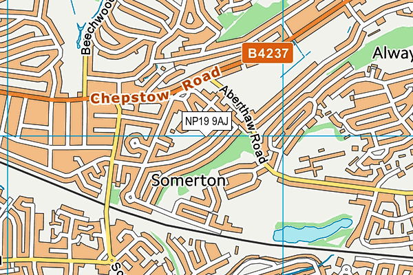 NP19 9AJ map - OS VectorMap District (Ordnance Survey)