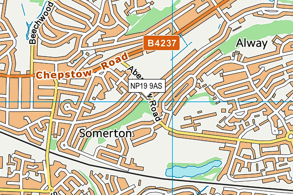 NP19 9AS map - OS VectorMap District (Ordnance Survey)