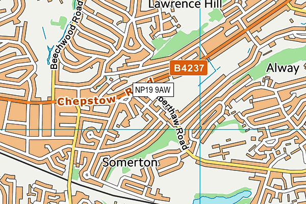 NP19 9AW map - OS VectorMap District (Ordnance Survey)