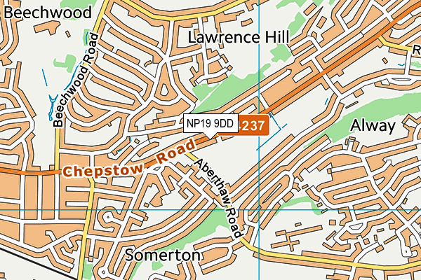 NP19 9DD map - OS VectorMap District (Ordnance Survey)