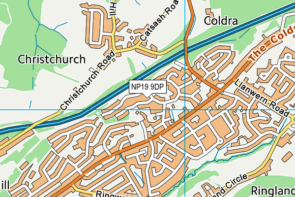 NP19 9DP map - OS VectorMap District (Ordnance Survey)