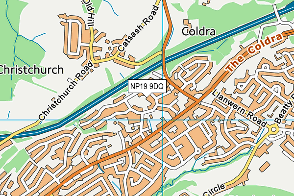 NP19 9DQ map - OS VectorMap District (Ordnance Survey)