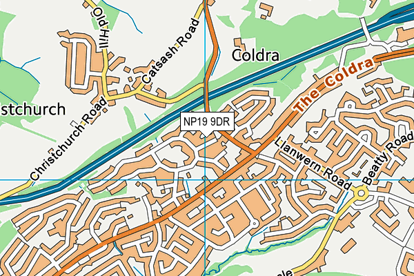 NP19 9DR map - OS VectorMap District (Ordnance Survey)