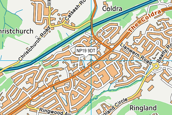 NP19 9DT map - OS VectorMap District (Ordnance Survey)