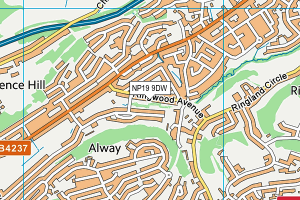 NP19 9DW map - OS VectorMap District (Ordnance Survey)