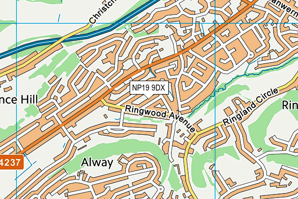 NP19 9DX map - OS VectorMap District (Ordnance Survey)