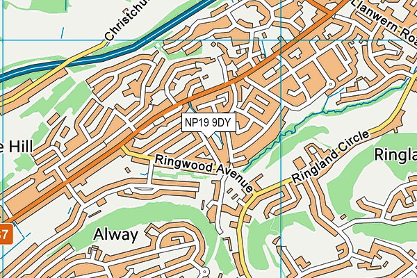 NP19 9DY map - OS VectorMap District (Ordnance Survey)