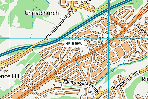 NP19 9EW map - OS VectorMap District (Ordnance Survey)