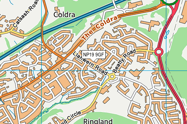 NP19 9GF map - OS VectorMap District (Ordnance Survey)