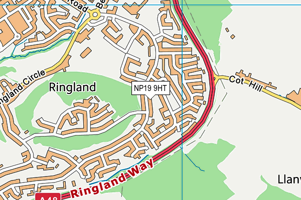NP19 9HT map - OS VectorMap District (Ordnance Survey)
