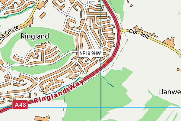 NP19 9HW map - OS VectorMap District (Ordnance Survey)