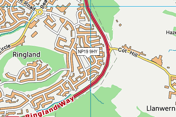 NP19 9HY map - OS VectorMap District (Ordnance Survey)