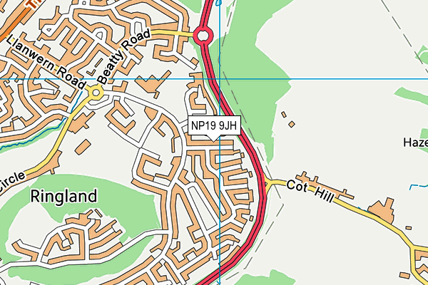 NP19 9JH map - OS VectorMap District (Ordnance Survey)