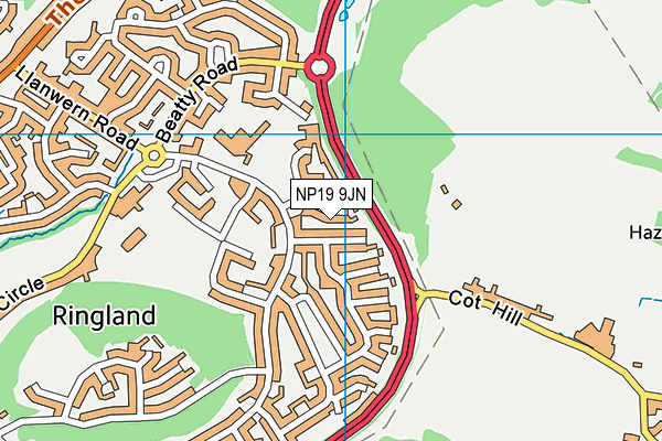 NP19 9JN map - OS VectorMap District (Ordnance Survey)
