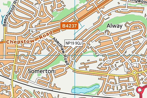 NP19 9QJ map - OS VectorMap District (Ordnance Survey)