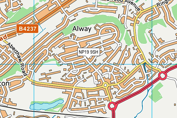 NP19 9SH map - OS VectorMap District (Ordnance Survey)