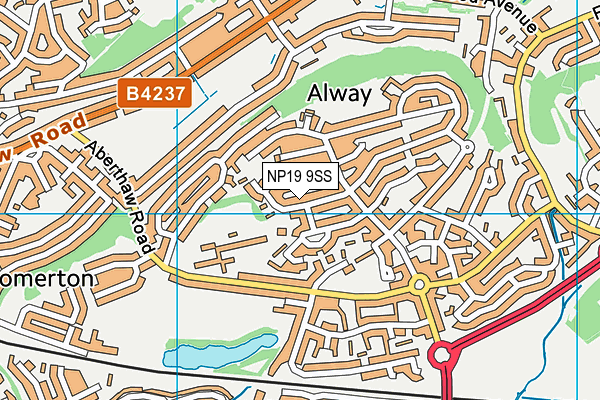 NP19 9SS map - OS VectorMap District (Ordnance Survey)