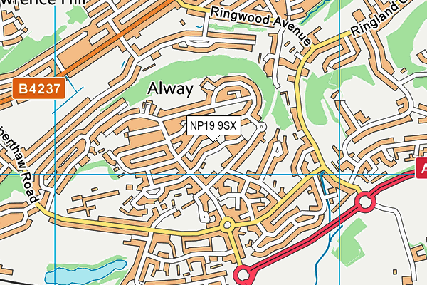 NP19 9SX map - OS VectorMap District (Ordnance Survey)