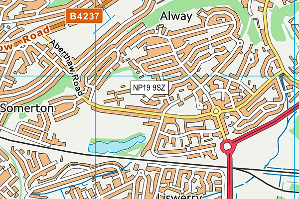 NP19 9SZ map - OS VectorMap District (Ordnance Survey)