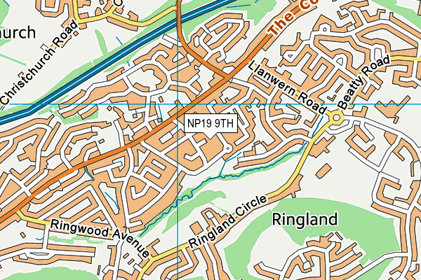 NP19 9TH map - OS VectorMap District (Ordnance Survey)